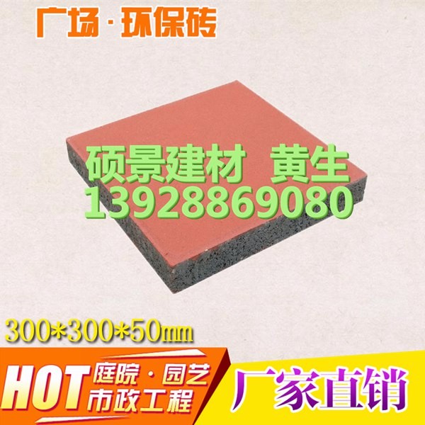 300*300*50mm環(huán)保透水磚