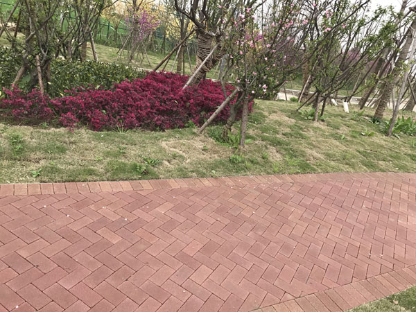 碩景環(huán)保仿石磚，您值得擁有